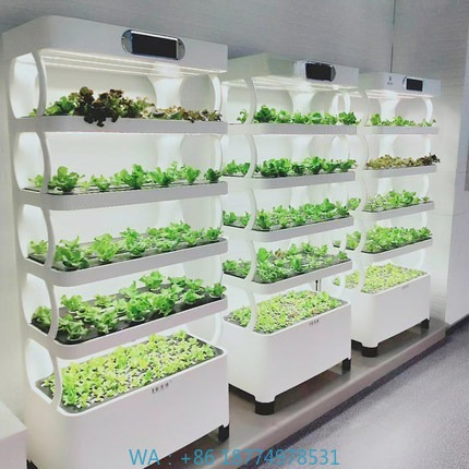 수경재배 자동화 시스템 지능형 수경재배 시스템 LED  - Diy Automation 리뷰 및 가격